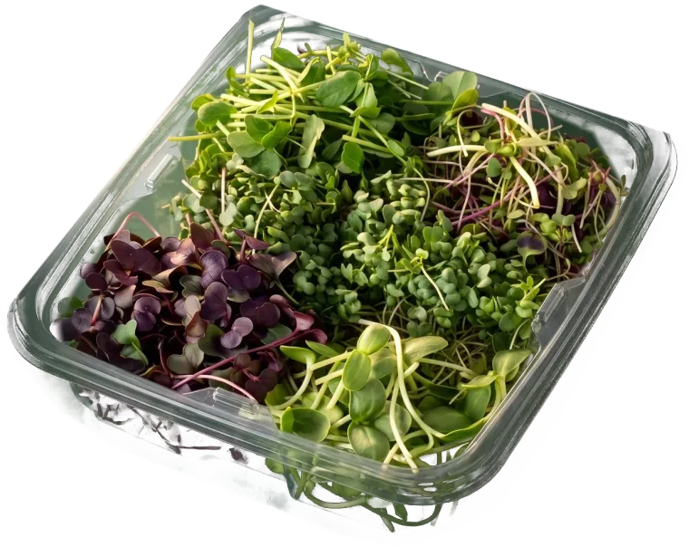 The Super Pack, an open box of four microgreens